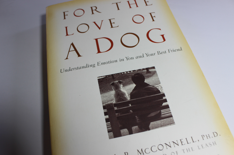 For the love of a dog