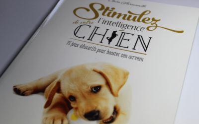 Stimulez l’intelligence de votre chien – 75 jeux éducatifs pour booster son cerveau